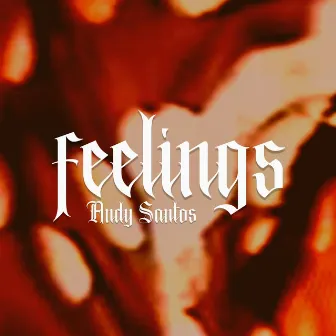 Feelings by Andy Santos