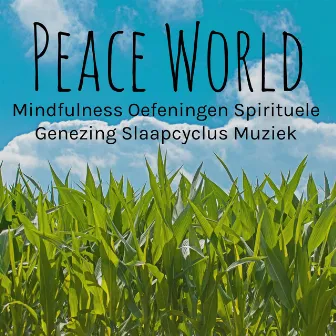 Peace World - Mindfulness Oefeningen Spirituele Genezing Slaapcyclus Muziek met Natuurlijke Instrumentale Spa Rustgevende Geluiden by Unknown Artist