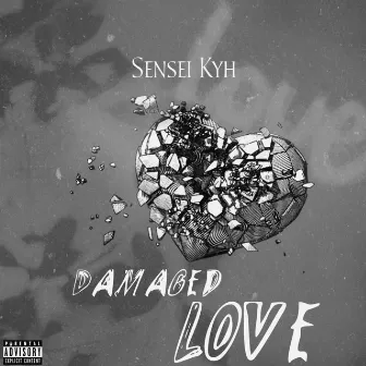 Damaged Love by Sensei Kyh