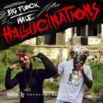 Hallucinations by Big Flock