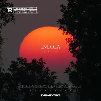 Indica by DemdTBZ