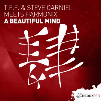 A Beautiful Mind by Steve Carniel