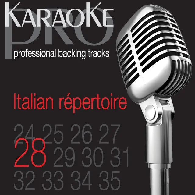 Top Italian Karaoke Hits, Vol. 28