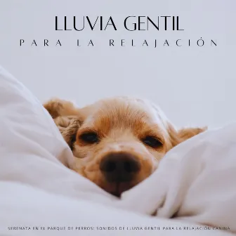 Serenata En El Parque De Perros: Sonidos De Lluvia Gentil Para La Relajación Canina by La lluvia es mi vida