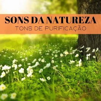 Sons Da Natureza: Tons De Purificação by Paz Nirvana