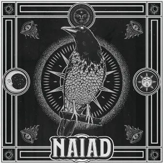 Sweep by Naiad