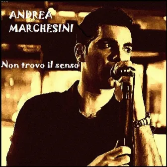 Non trovo il senso by Andrea Marchesini