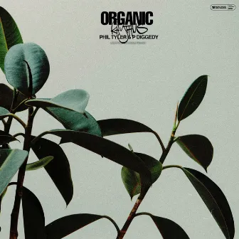 Organic Rhythms by P DIGGEDY