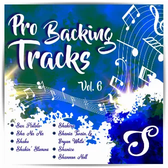 Pro Backing Tracks S, Vol.6 by Pop Music Workshop