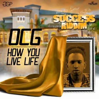 How You Live Life by Ocg