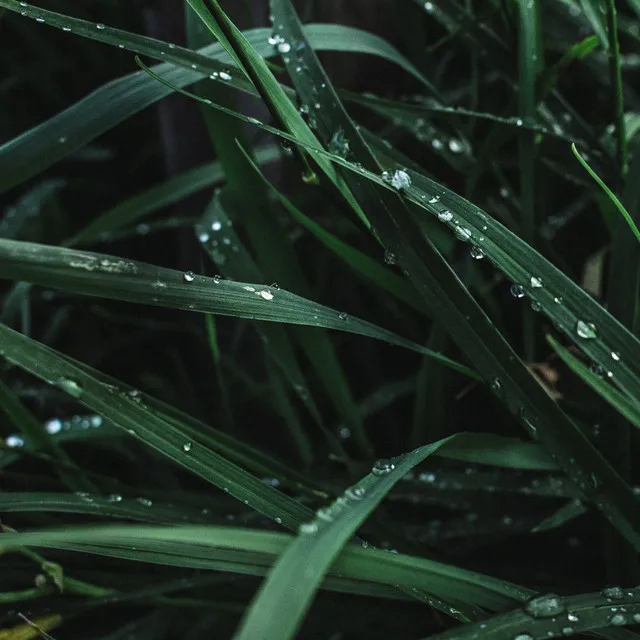 Relajante y agradable sonido de lluvia