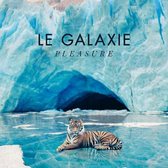 Pleasure by Le Galaxie