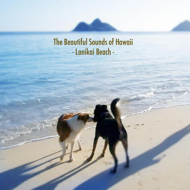 The Beautiful Sounds of Hawaii -Lanikai Beach-