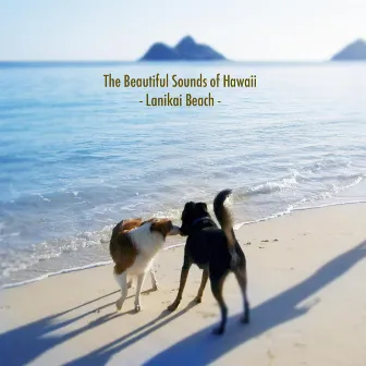 The Beautiful Sounds of Hawaii -Lanikai Beach- by Relax in Peace