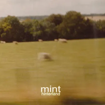 Hinterland by Mint