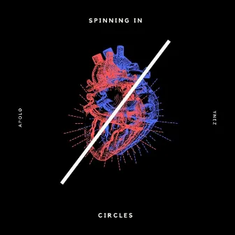 Spinning in Circles by Ynez