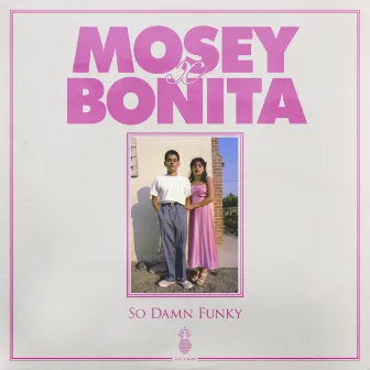 So Damn Funky by Mosey