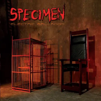 Electric Ballroom by Specimen