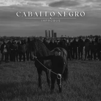 Caballo Negro by Improbus