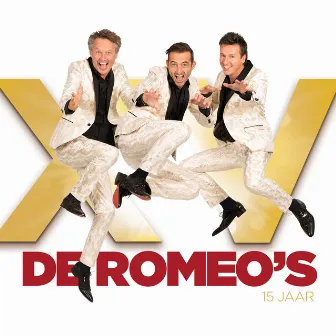 15 Jaar by De Romeo's