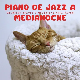 Piano De Jazz A Medianoche: Melodías Suaves Y Melódicas Para Gatos by Hora feliz de jazz