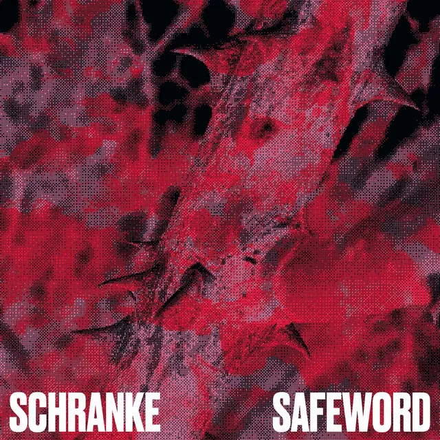 Safeword (Metaraph Remix)