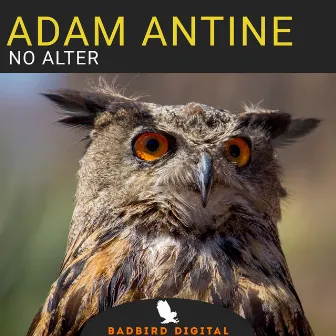 No Alter by Adam Antine