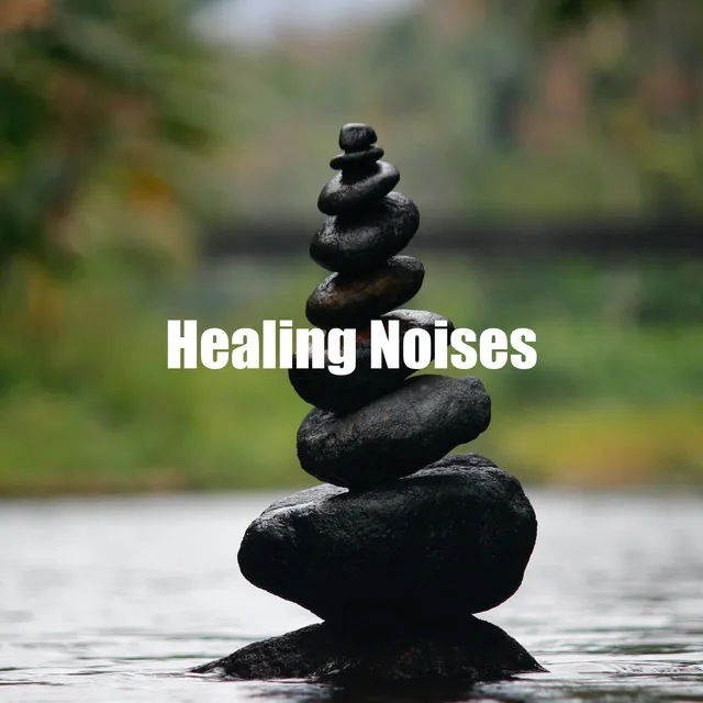 Healing Noises