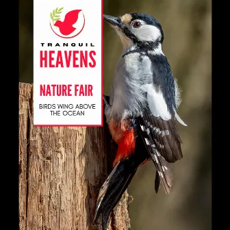 Nature Fair - Birds Wing Above The Ocean by Cosmic Nature Sounds