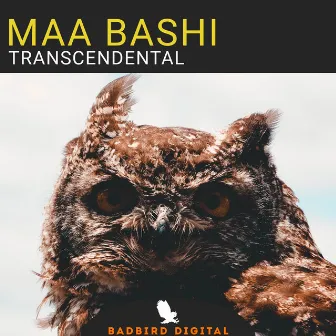 Transcendental by Maa Bashi