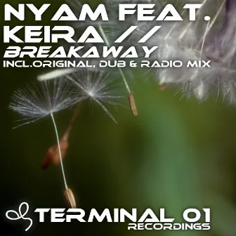 Breakaway by Nyam