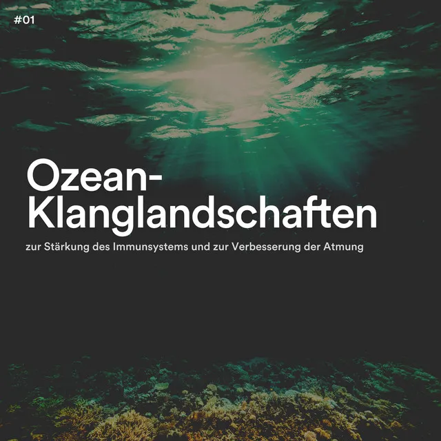 #01 Ozean-Klanglandschaften zur Stärkung des Immunsystems und zur Verbesserung der Atmung