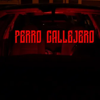 Perro callejero by Ripolito