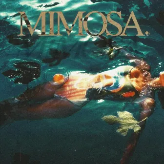 MIMOSA by Yil C