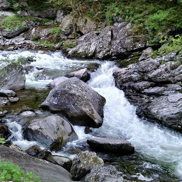 Bubbling River Rapids