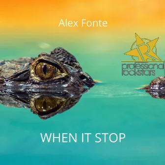 When It Stops by Alex Fonte