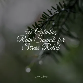 50 Calming Rain Sounds for Stress Relief by Yoga Rain