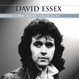 Silver Collection by David Essex