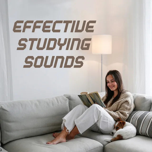 Effective Studying Sounds: Better Concentration While Studying