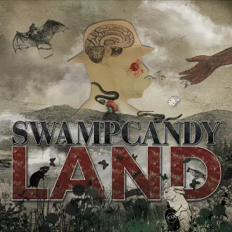 Land by Swampcandy