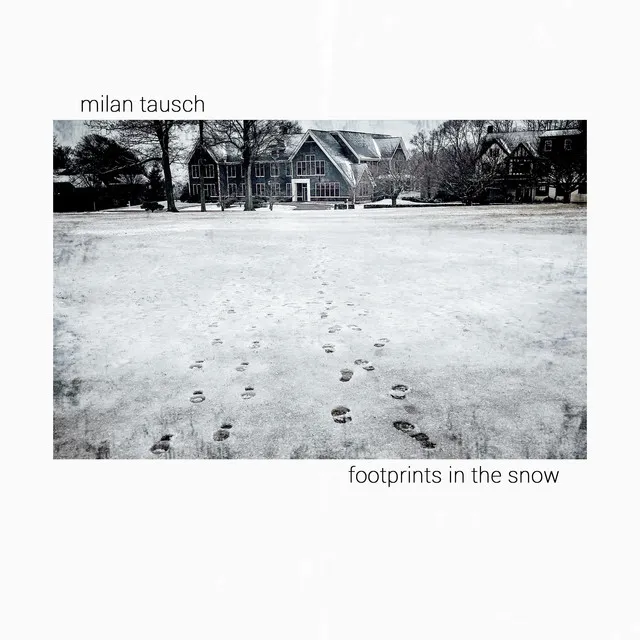 Footprints in the Snow