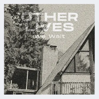 We Wait by Other Lives