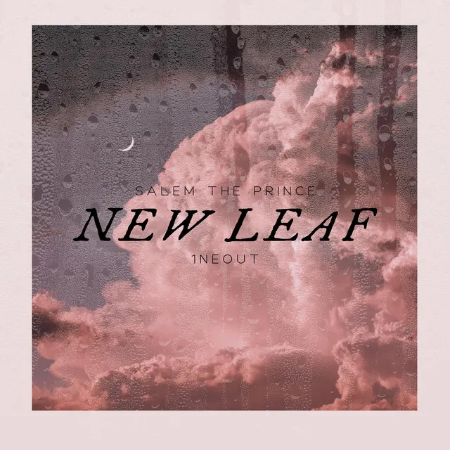 New Leaf