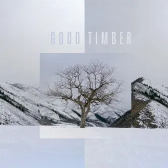 Good Timber by Drew Danburry