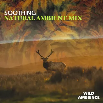 Soothing Natural Ambient Mix by Wild Ambience