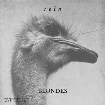 Rein by Blondes