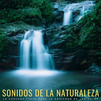 Sonidos De La Naturaleza: La Cascada Fluye Para La Ansiedad De Los Gatos by Aguas Naturales