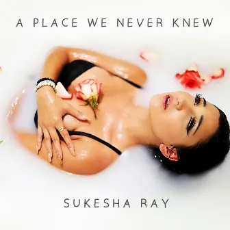 A Place We Never Knew by Sukesha Ray