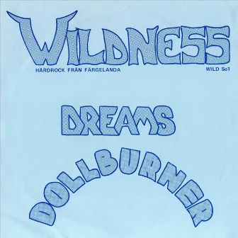 Dreams by Wildness