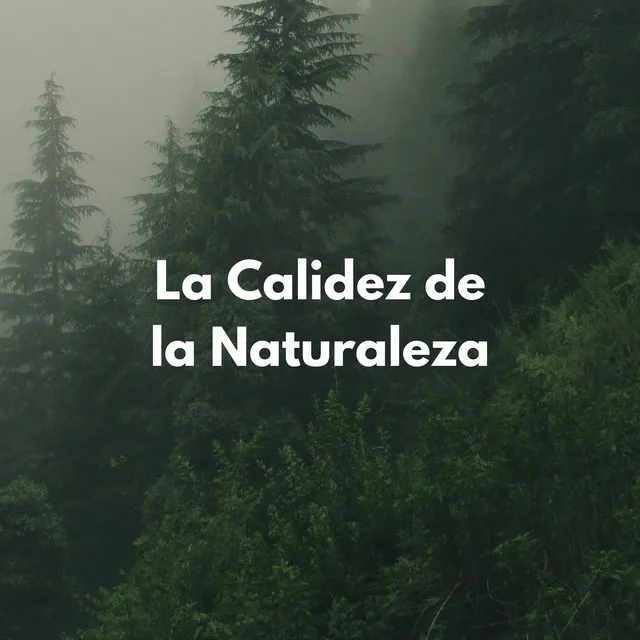 La Calidez De La Naturaleza